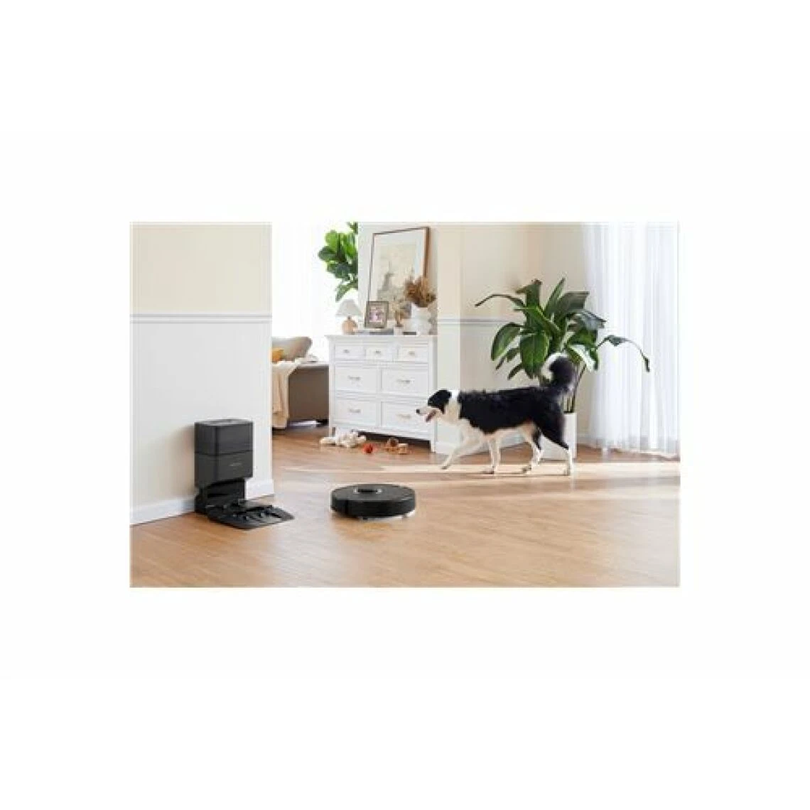 Roborock Q7 Max+ Aspirateur Robot Avec Station De Vidage Automatique N... â Image 5