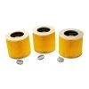 Vhbw Lot De 3x Filtres à Cartouche Compatible Avec Kärcher Powerplus...