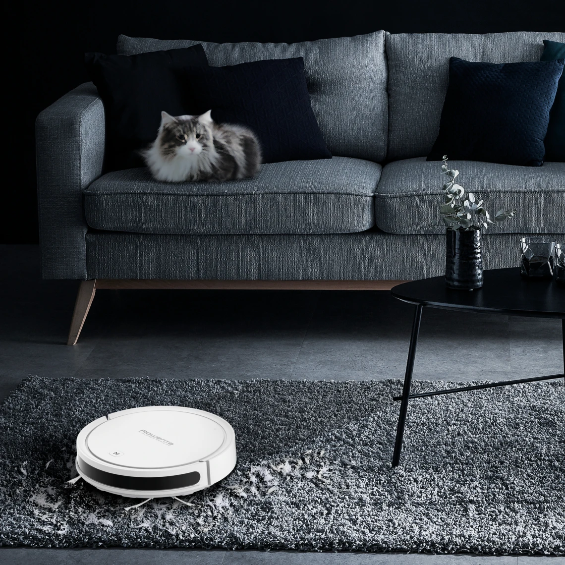 Rowenta X-Plorer Serie 50 Aspirateur Robot RR7387WH â Image 6